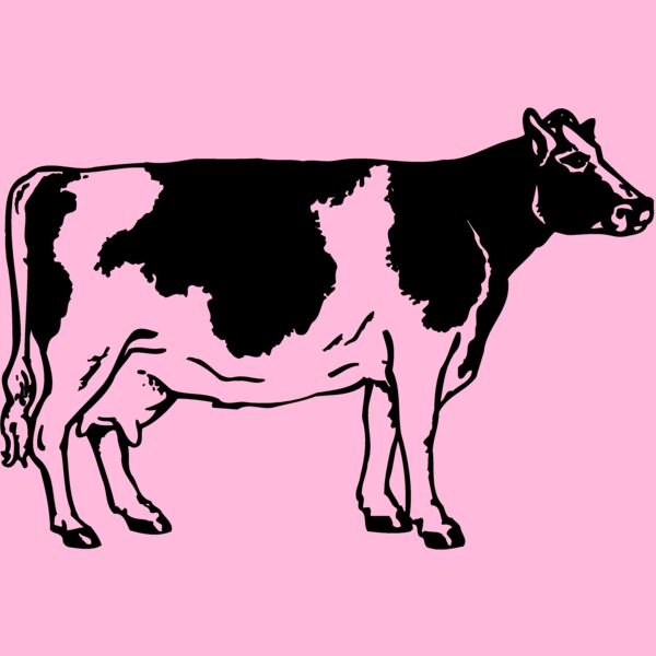 COW024 Thumbnail