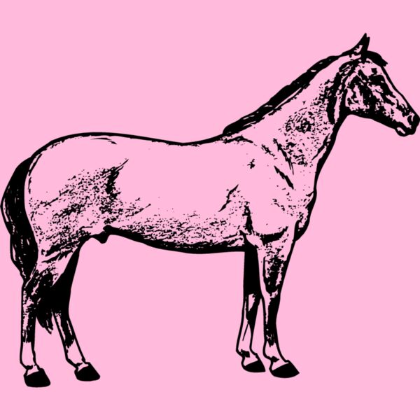 HORSE020 Thumbnail