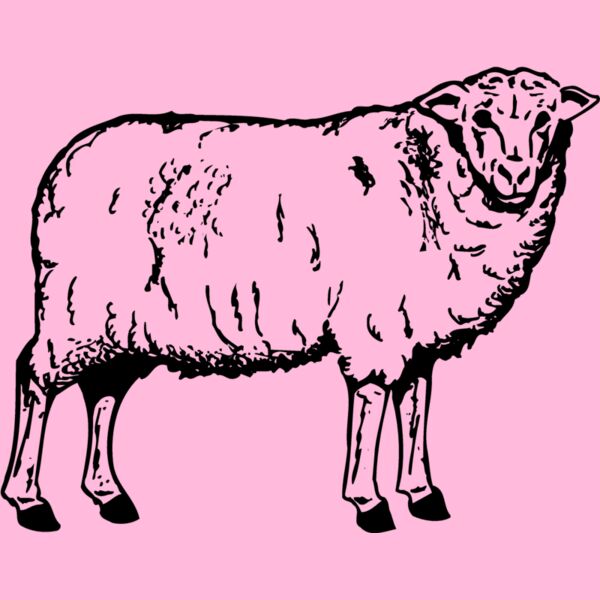 SHEEP002 Thumbnail
