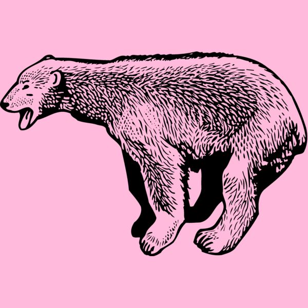 BEAR014_ Thumbnail