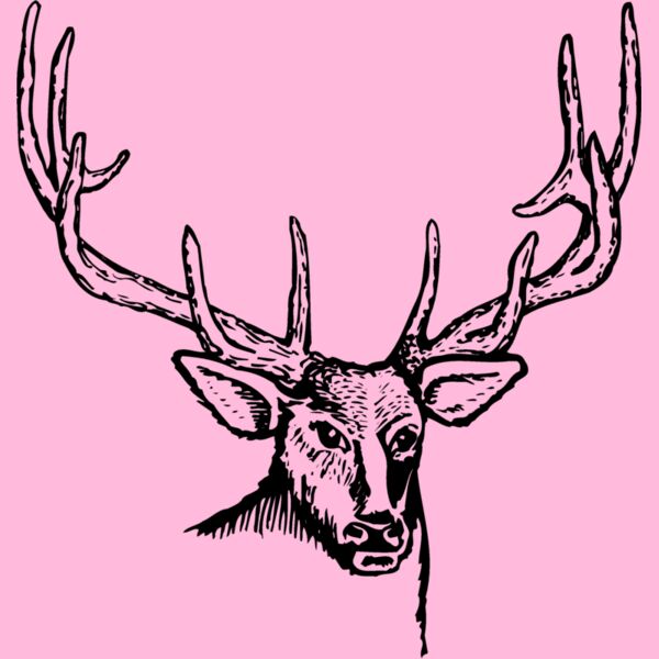 DEER007 Thumbnail
