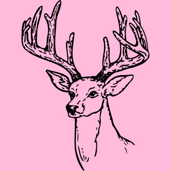 DEER009 Thumbnail