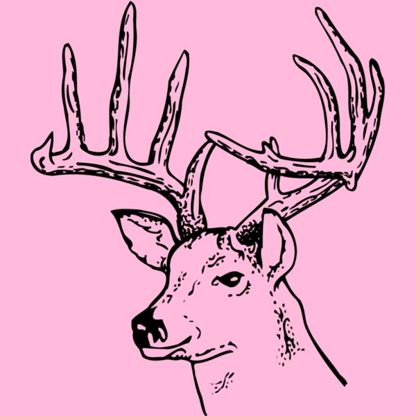 DEER014 Thumbnail