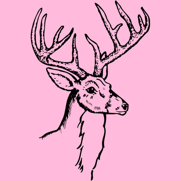 DEER017 Thumbnail
