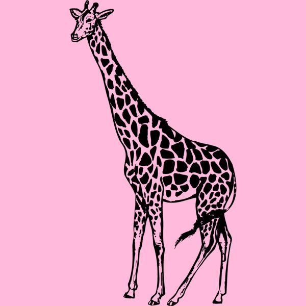 GIRAFF01 Thumbnail