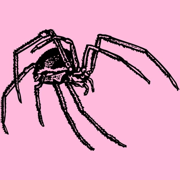 SPIDER01 Thumbnail