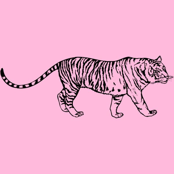 TIGER003 Thumbnail