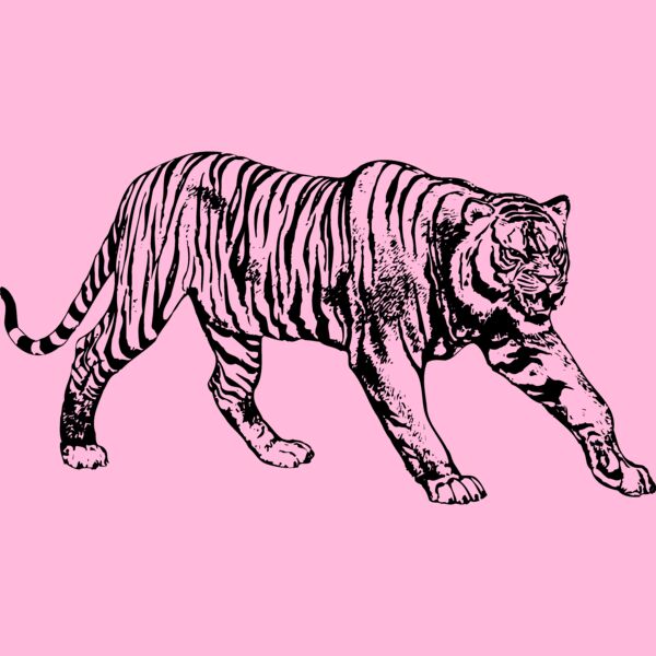 TIGER005 Thumbnail