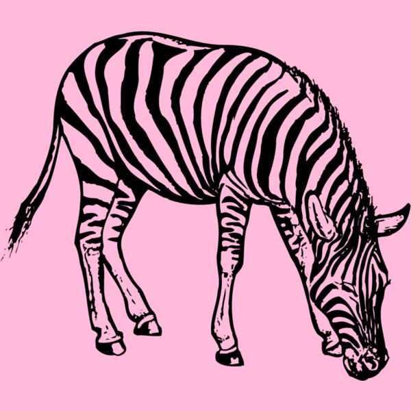 ZEBRA001 Thumbnail