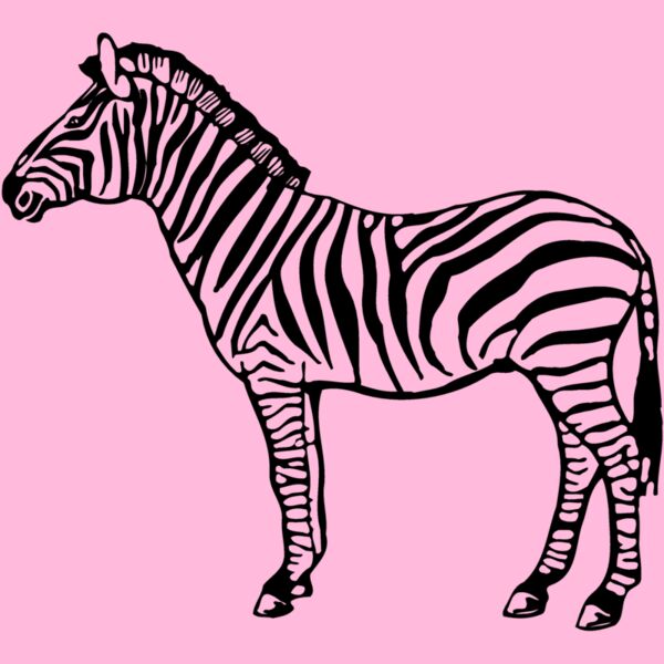 ZEBRA004 Thumbnail