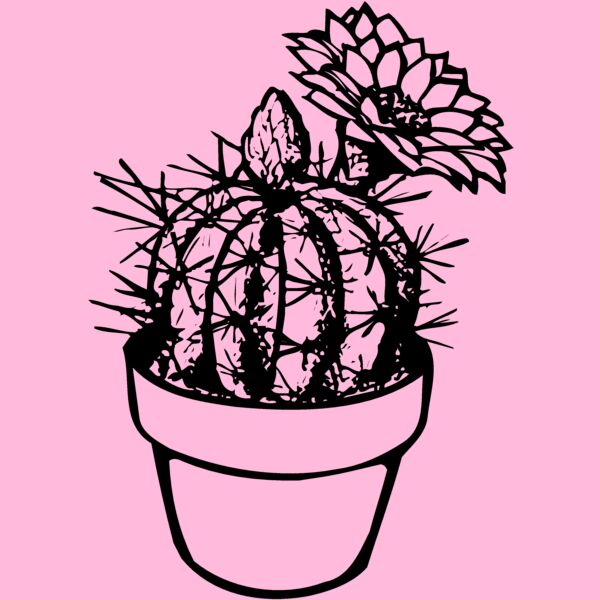 CACTUS01 Thumbnail