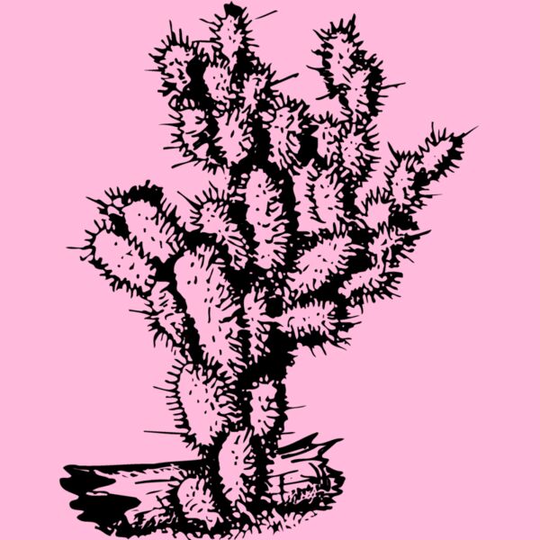 CACTUS09 Thumbnail