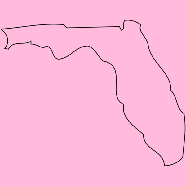 FLORIDA Thumbnail