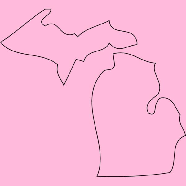 MICHIGAN Thumbnail