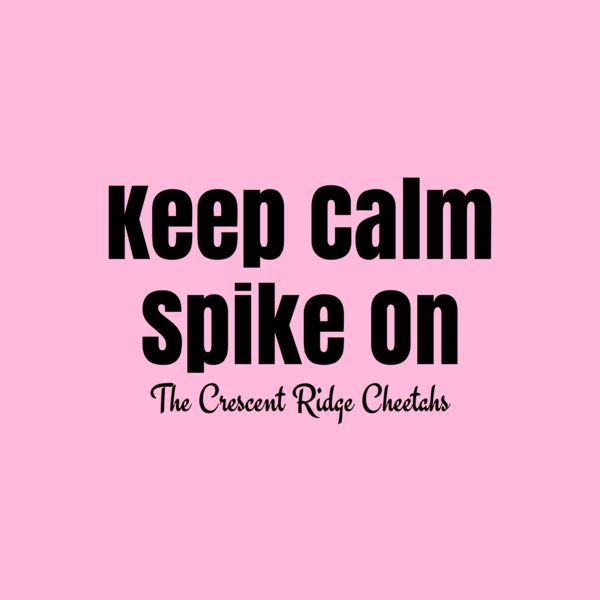 Volleyball 64 Thumbnail